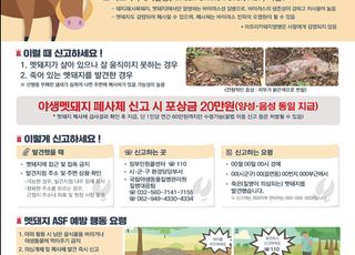 겨울철 ASF 확산 대비…기후부, 야생멧돼지 중점관리 대책 시행