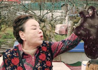 김수미 유작 '홍어의 역습', 12월 10일 개봉