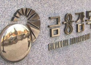 금감원 "해외 파생상품 사전교육·모의거래 의무화"