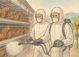 경기 화성 산란계 농장서 H5형 조류인플루엔자 확인