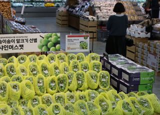 '과일계의 에르메스' 샤인머스캣, 가격 3분의 1로 '뚝' 떨어진 이유는?