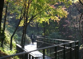 서울 중구, '남산자락숲길' 개통 1주년…일상의 품격 높이는 '사계절 힐링공간'