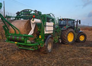 경기도, 한강하구 자생 갈대 사료화 사업 4년만에 재개