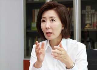 나경원 "딴지일보가 민심 바로미터란 정청래…다른 생각 가진 국민 드잡이 하려나"