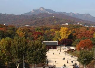 “문화유산 보존이냐, 개발이냐”…세운4구역 갈등 해법 ‘갑갑’