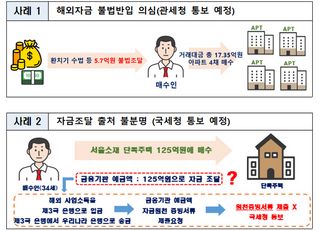 환치기로 서울 아파트 쇼핑…외국인 부동산 이상거래 210건