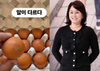 이경실 달걀 사업 왜 논란?...'1번란' '4번란'이 뭐길래