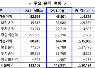 3분기 보험사 누적 순익 11조원…전년 대비 15.2%↓