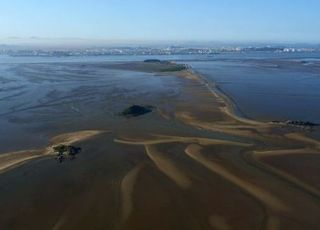 국제사회 ‘갯벌’ 블루카본 효과 인정…NDC 166만t 감축 기대