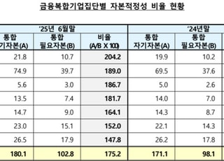 6월 말 금융복합슬롯 머신 사이트집단 자본적정성 비율 175.2%…전년 말 대비 0.9%p↑