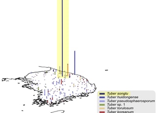 생물자원관, 전국 토양 조사로 땅속 버섯 181종 유전자 정보 새 확인