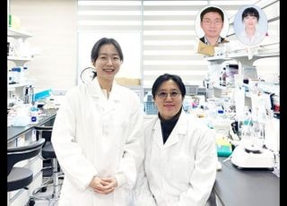 ‘우울증’ 마음의 병만이 아니다…KAIST, ‘면역-뇌 연결고리’ 규명