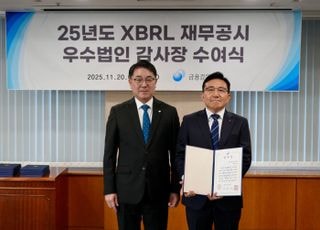 LG엔솔, 금감원 ‘XBRL 재무공시 우수법인’ 선정