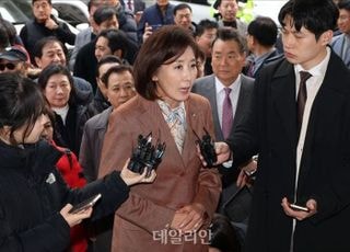 나경원, '패트 충돌' 의원직 유지에 "민주당 독재 막을 최소한의 저지선 인정한 것"