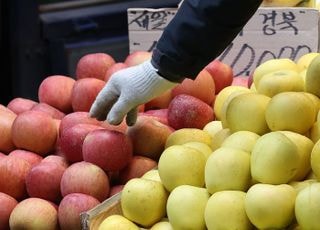 10월 생산자물가 0.2% 상승…배추 26.1%↓·물오징어 18.5%↑