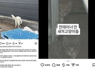 "살아있는 새끼고양이를 먹이로"...진돗개 견주 논란