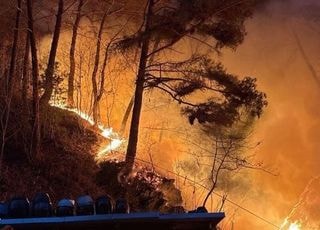 '날 밝는 대로 헬기 투입' 강원 인제 산불 진화율 60%…산불 대응 1단계 발령