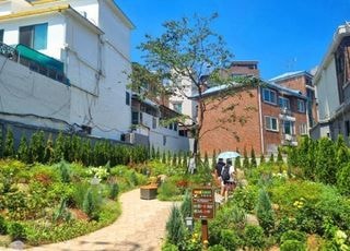 [11월 21일(금) 오늘, 서울시] 도심 곳곳에 정원 1010개 조성…여의도공원 3배 크기