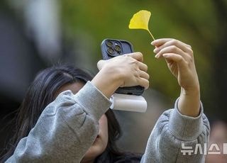 아침 최저 -3도·일교차 15도 안팎…절기 소설 뜻과 먹어야 할 음식은? [오늘 날씨]