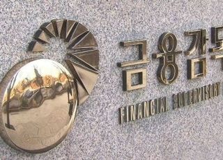 특징주 선행매매로 112억 '꿀꺽'…금감원, 전직 기자 검찰 송치