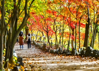 [오늘 날씨] 낮 날씨 포근…산지·남부 영하권 계속