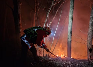 강원 양양 산불, 진화 단계…"소방 헬기 25대 투입"