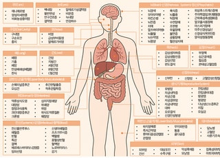 네이버에서 질환 검색하면 환자수·진료비까지 바로 보여준다