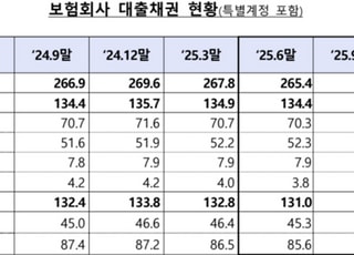 9월 말 보험사 대출채권 261조4000억원…연체율 소폭 하락