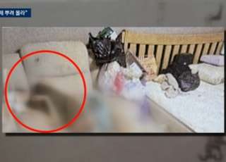 "'사람이 썪었다' 표현밖에"...'구더기 아내' 구조 당시 상황은?