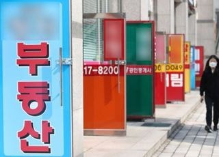 “당근으로 집도 사는데”…공인중개사협회 법정단체화 ‘명암’