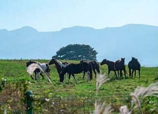 맛과 품질이 달라졌다, 대한민국 농업의 진짜 경쟁력 [新농사직썰-혁신의 씨앗⑧]