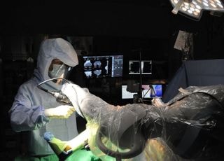 서울부민병원, 인공관절 수술 로봇 '코리' 도입