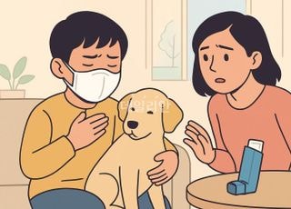 소아 알레르기천식, 반려동물 키우면 염증·중증도 동반 악화