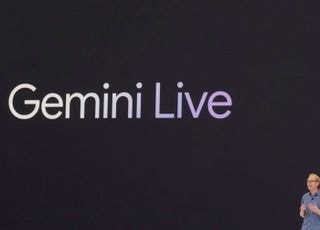 서학개미, 엔비디아서 구글로 '환승'…美 금리인하 기대감까지