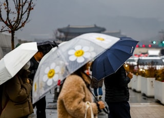 [내일날씨] "우산 챙기세요"…전국에 비 또는 눈 내린다