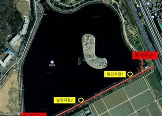 수원서 발견 된 큰기러기 폐사체서 고병원성 AI 확진