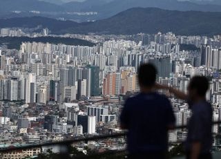 규제 강화에 보험사 주담대 ‘뚝’…비은행 쏠림 없었다