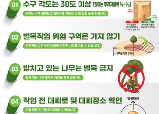 노동부, 벌목 현장 불시점검…“안전관리 사각지대 최소화”