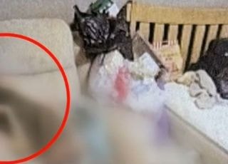 "온몸에 구더기 들끓어" 아내 방치한 부사관, 군검찰 송치