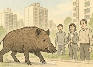 부산 금정구에 멧돼지 출현…소방당국 수색중