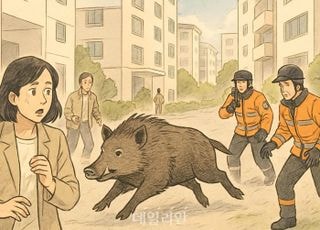 부산 금정구에 멧돼지 출몰…주민 2명 부상(종합)