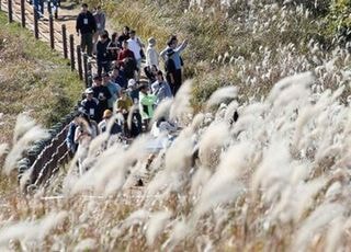 "다시 가을?" 낮 최고 20도 포근한 주말…큰 일교차, 운동하기 적절한 시간은 [오늘 날씨]