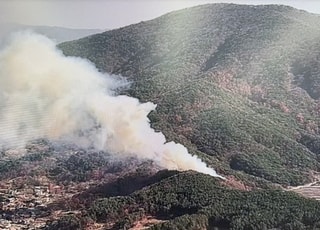 울산 울주군서 산불, 1시간 30여분 만에 진화…인명피해 없어