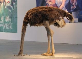 '타조 증후군' 국민의힘, 진정한 보수정당 맞나 [기자수첩-정치]