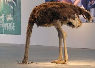 '타조 증후군' 국민의힘, 진정한 보수정당 맞나 [기자수첩-정치]