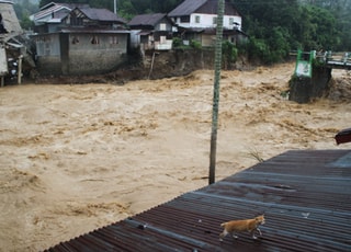 인니·태국·스리랑카서 홍수 및 산사태…"사망, 1000명 육박"