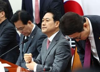 장동혁 "또 좌표 찍어 개딸 동원하나…추경호 기각되면 사법부에 화살?"