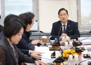 박수영, 與 '반도체특별법' 추진에 "'주 52시간 예외' 빠진 빈껍데기"