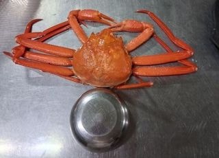 밥공기 크기 홍게 4마리가 12.5만원? "속초 정신 차려라"