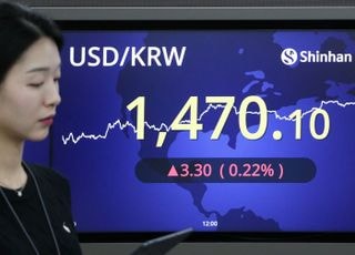 외환 불안의 책임, 결국 연금으로 전가되나